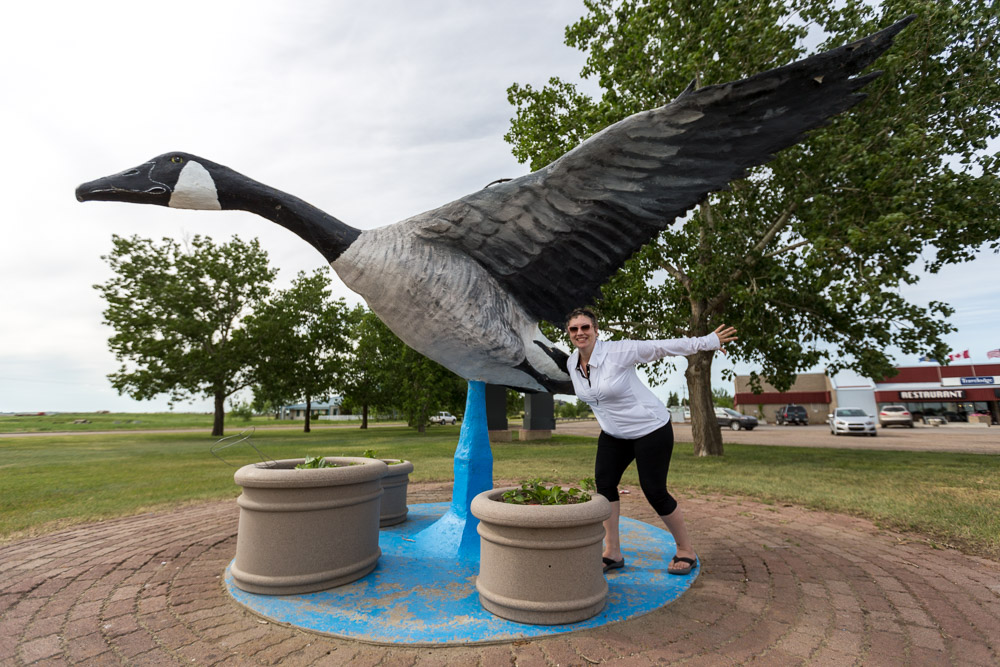 World-Largest-Canada-Goose-Hanna