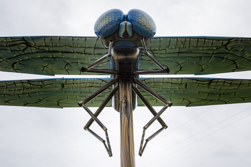 World-Largest-Dragonfly-Wabamun