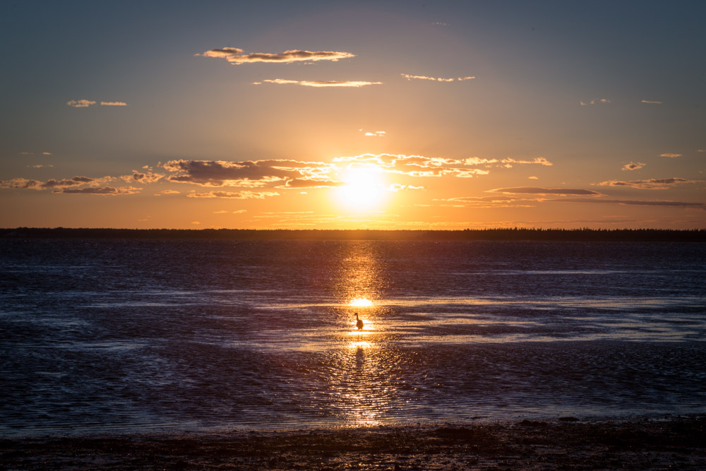 Sunset Silhouette