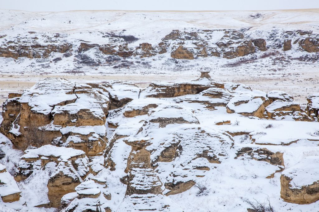 Writing on Stone Winter