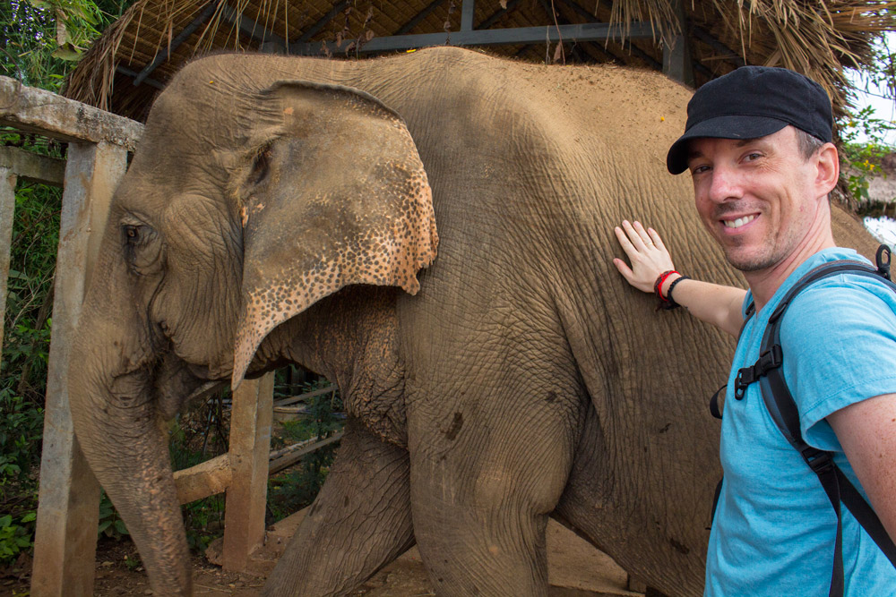 Chiang-Mai-Thailand-Elephants-Pete