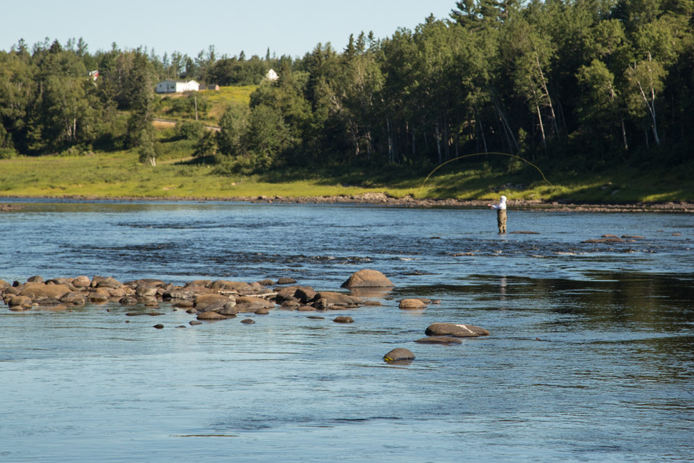 Dalene-Fishing-Miramichi