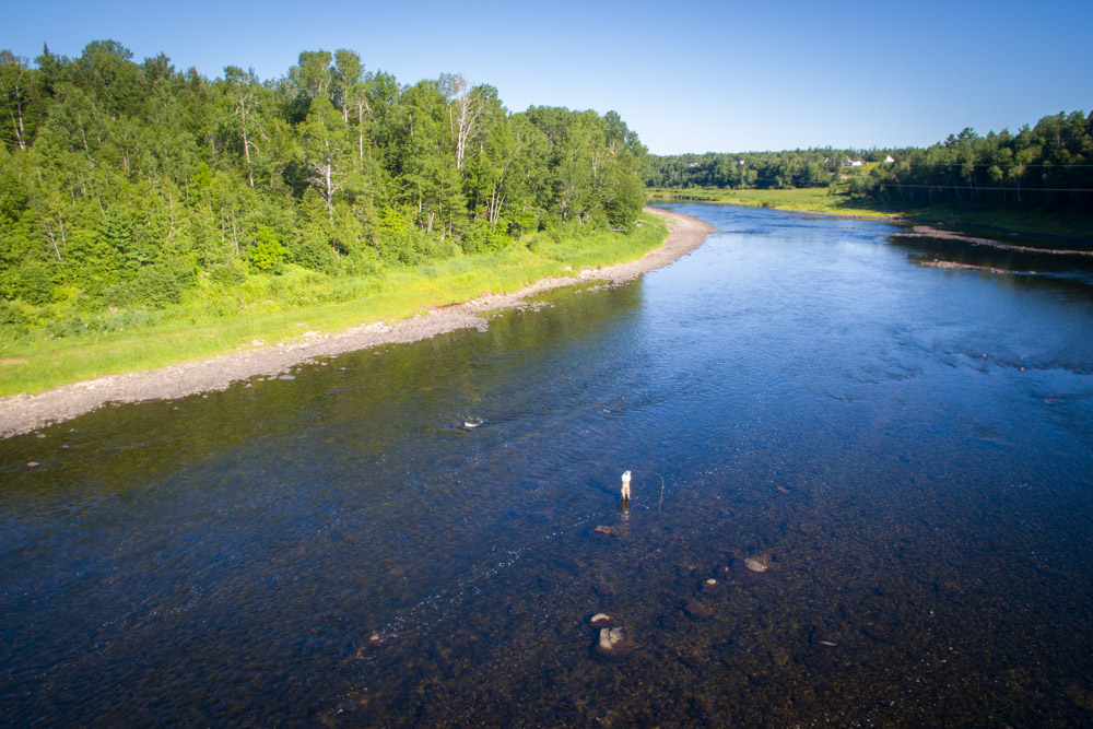 Dalene-in-the-Miramichi