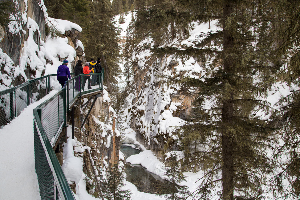 Johnston Canyon Banff National Park