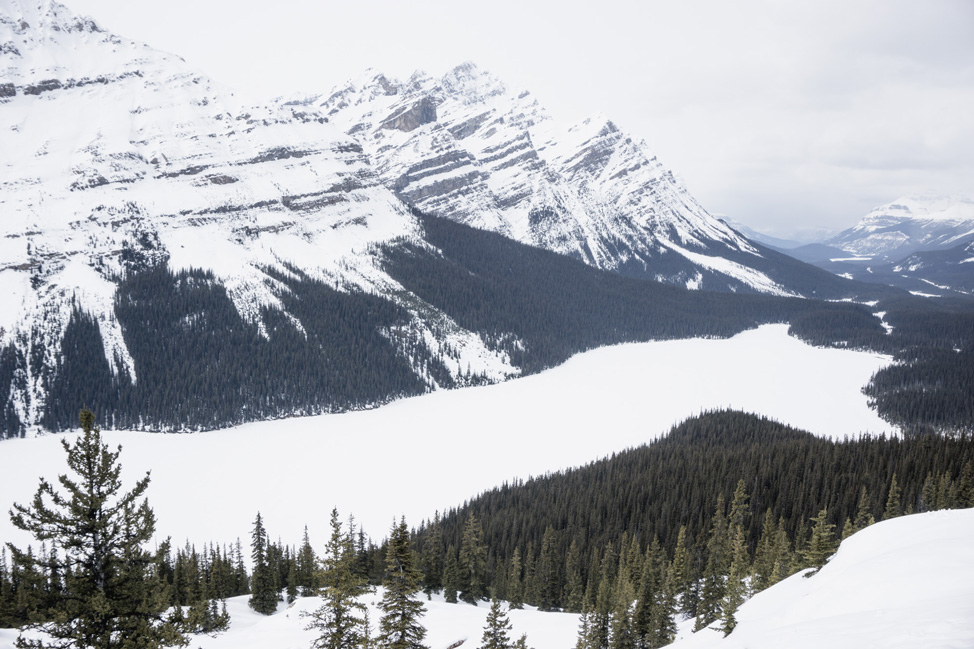 Peyto-Lake-Banff-National-Park