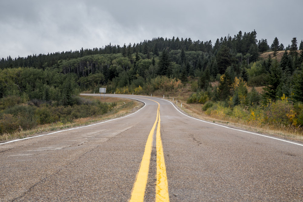 Cypress-Hills-Provincial-Park-Drive