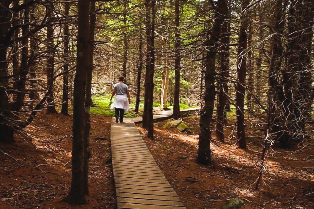 Middle Head Forest Path