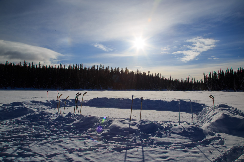 Ice Rink Yukon