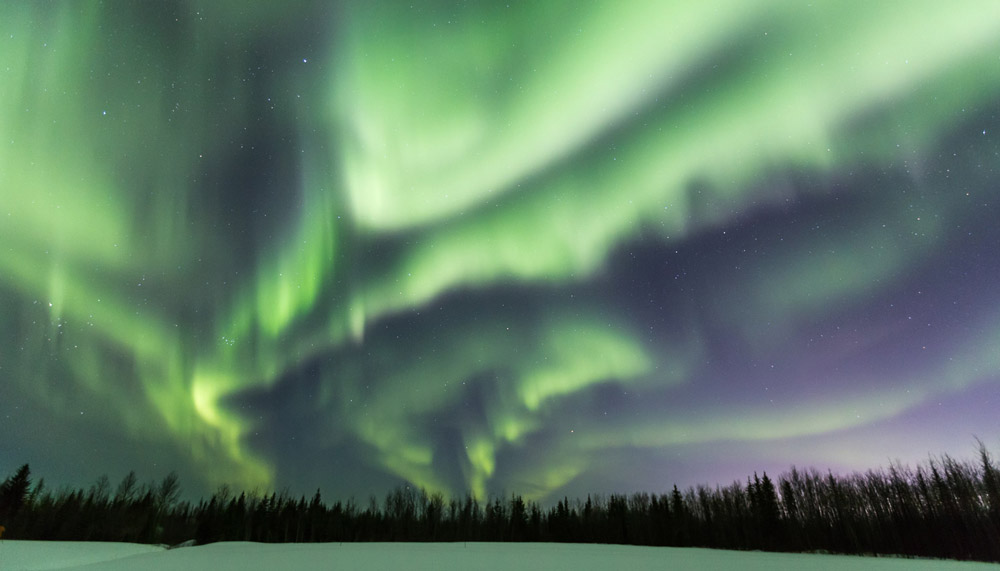 Chasing Aurora thumbnail