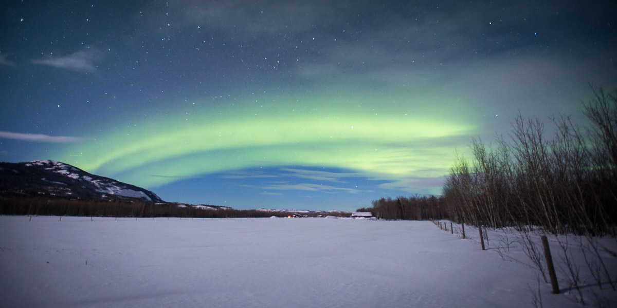 Northern Lights Yukon Canada Field