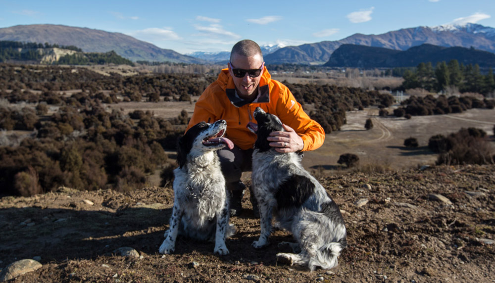 Housesitting New Zealand