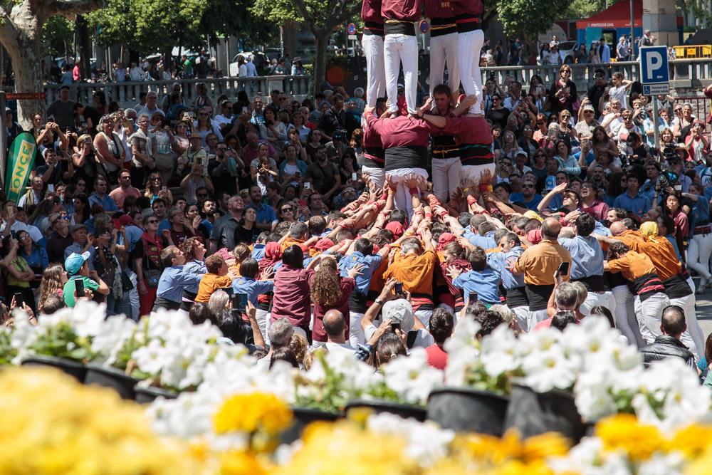 Human Towers Girona Flower Festival Team Help