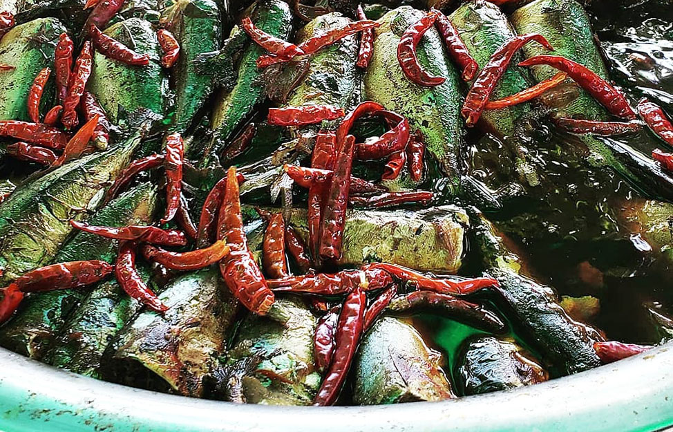 chili anchovies