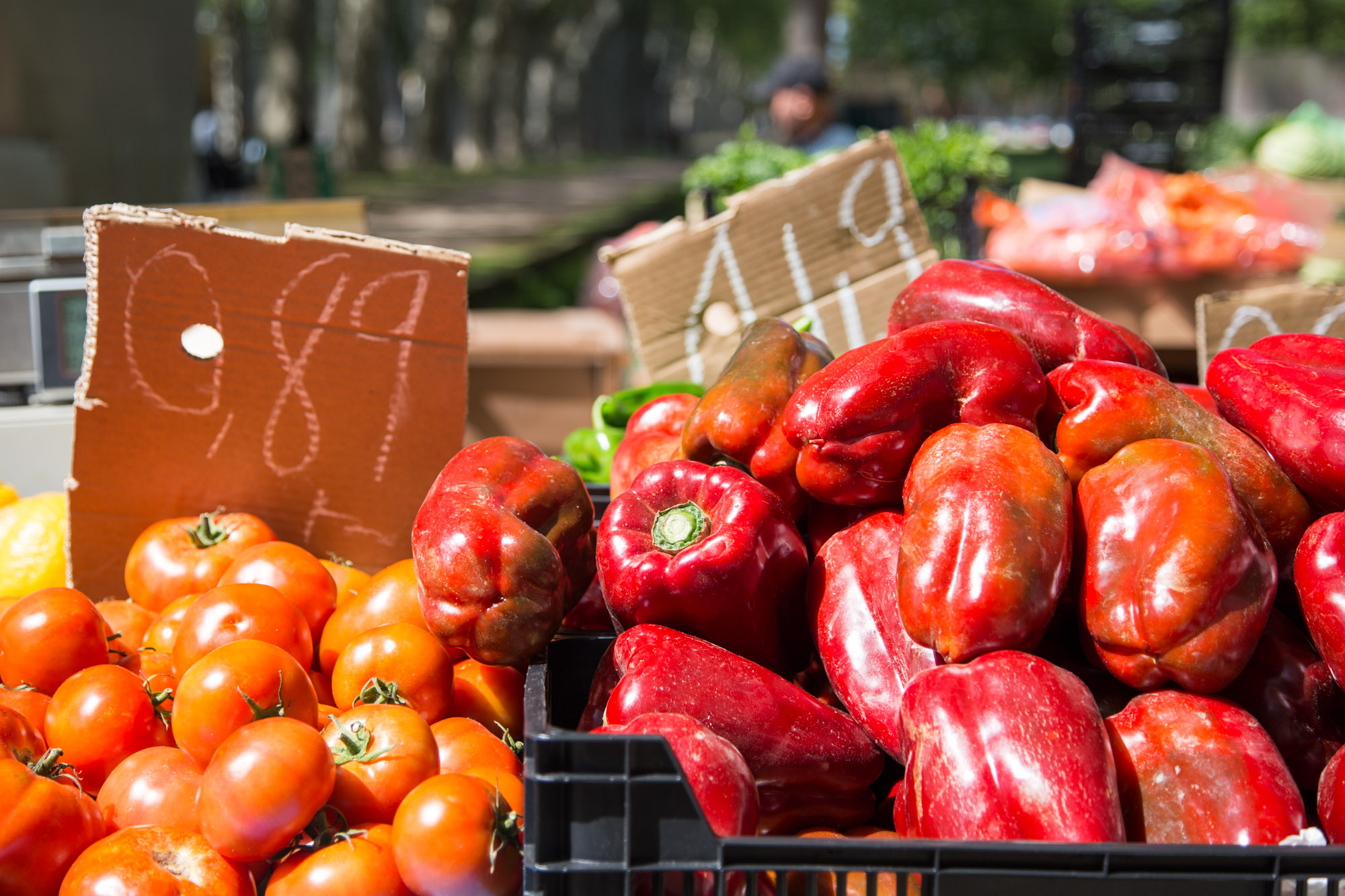 Girona Devesa market