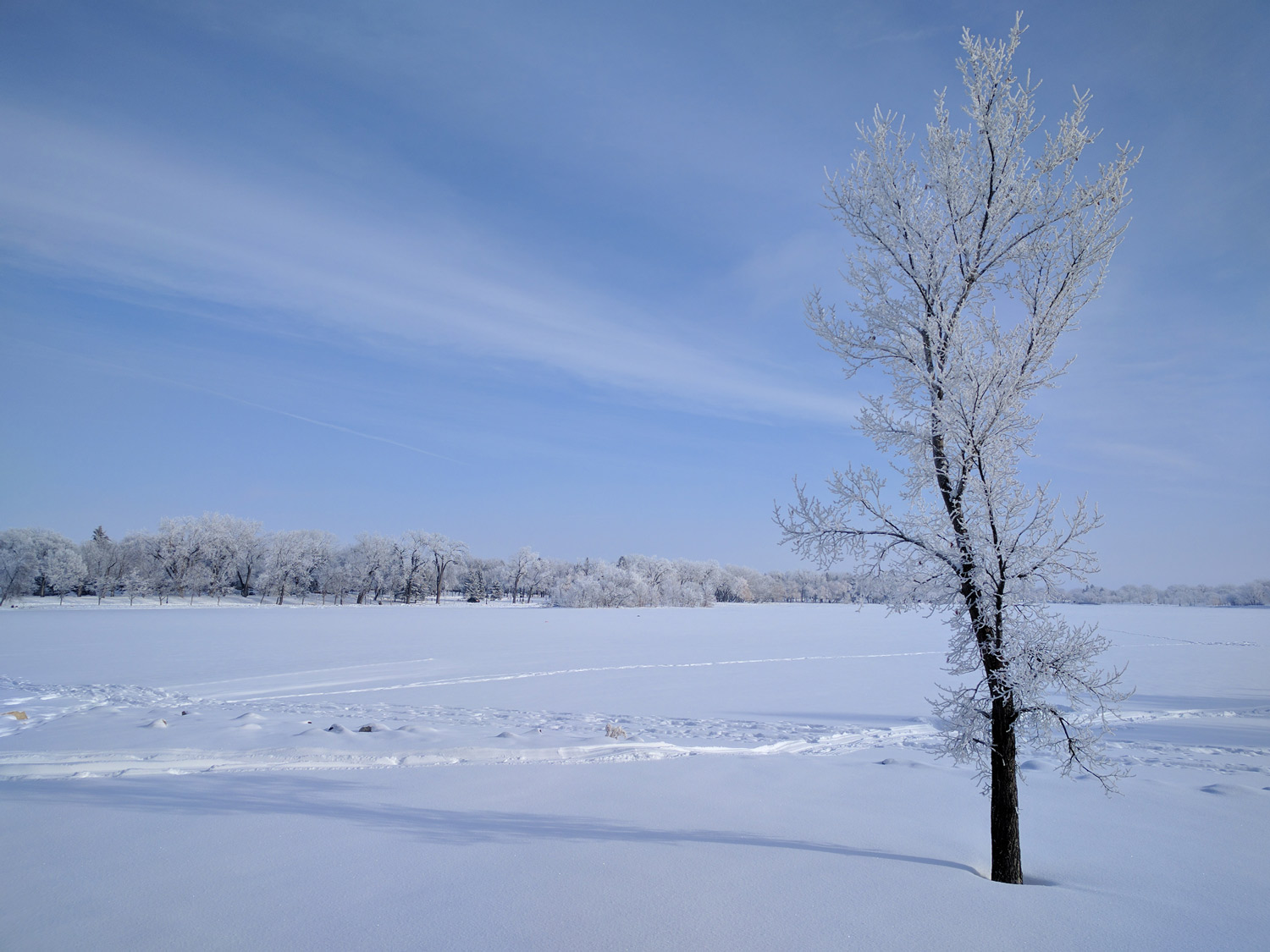Henderson Lake in Winter