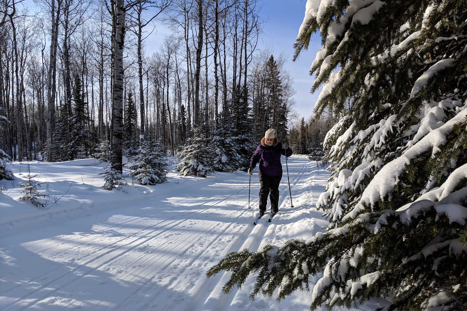 Cross Country Skiing Dalene