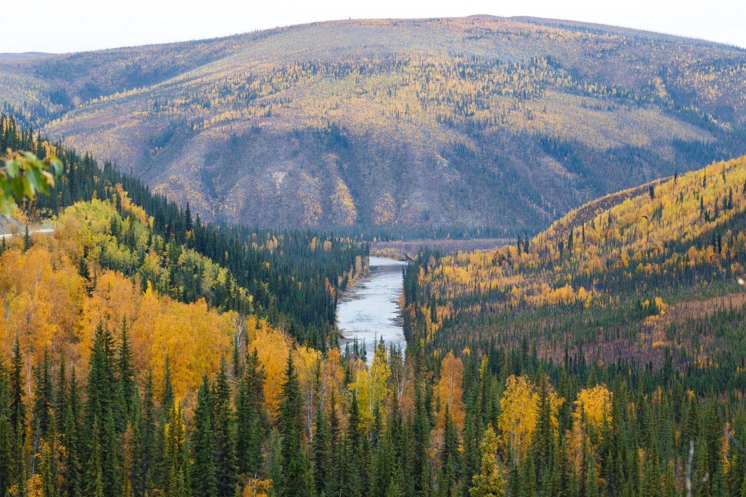 Driving Top of the World Highway Alaska