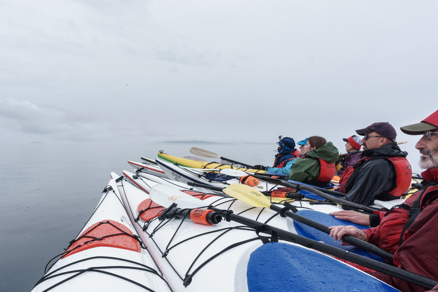 Kayaking with Orcas