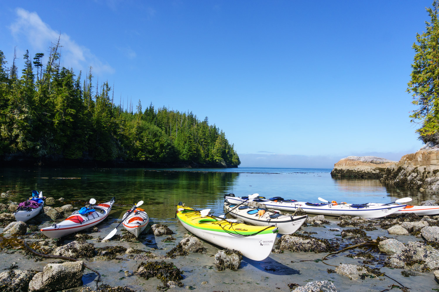 Lunch spot on Swanson Island