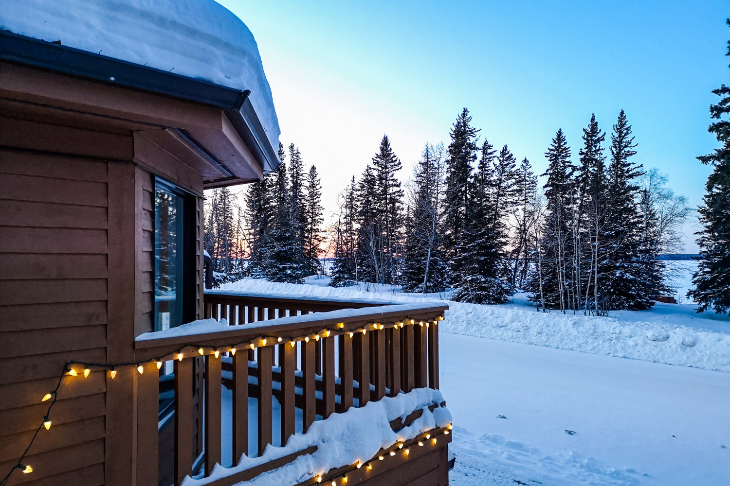 Prince Albert National Park Winter Feature