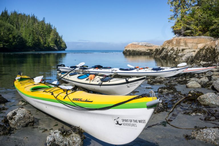 Kayaking with Orcas on the Whale Superhighway
