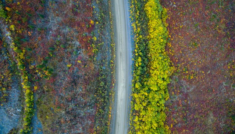A Journey on the Top-of -the-World Highway