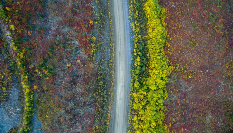 A Journey on the Top-of -the-World Highway