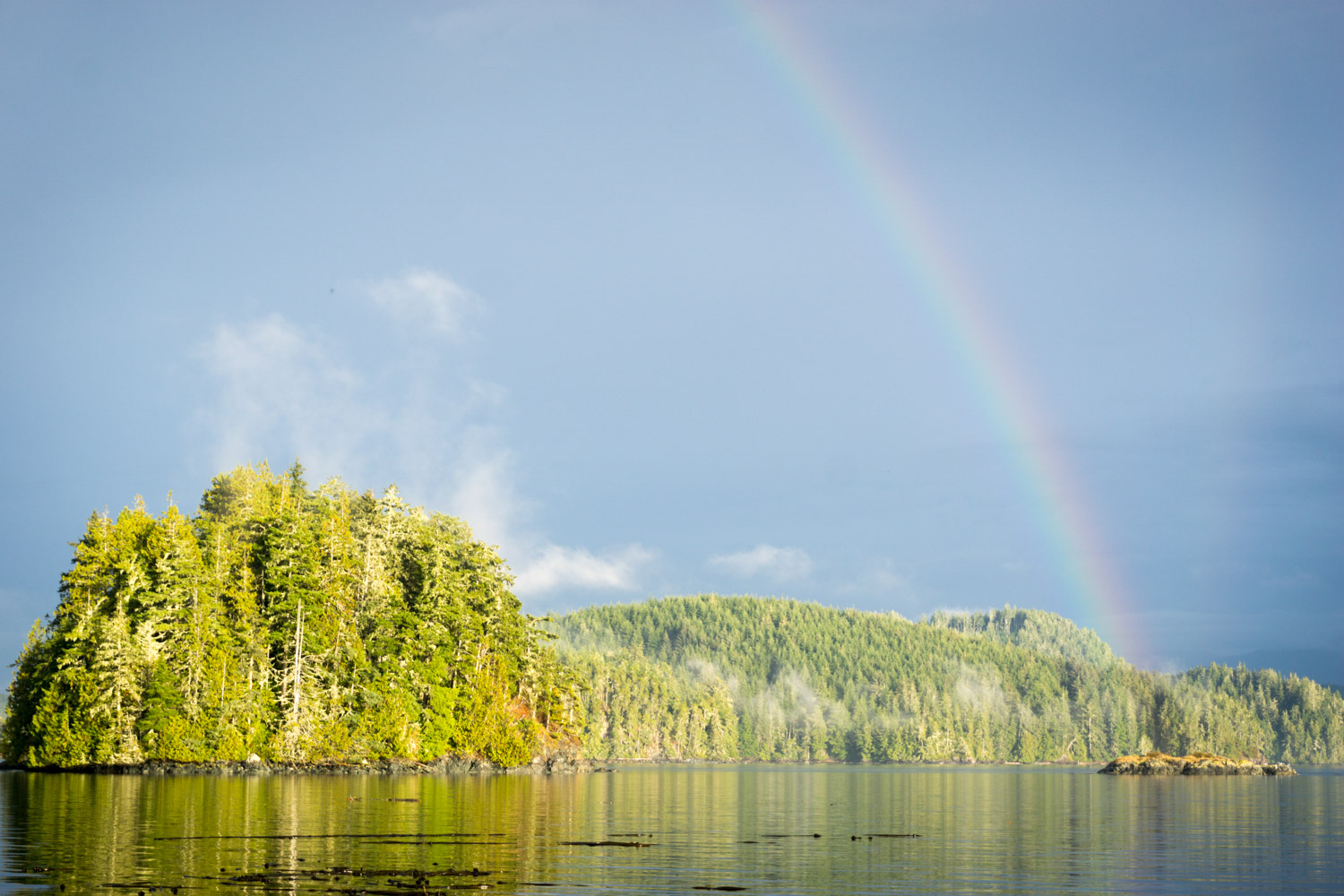 View from Swanson Island