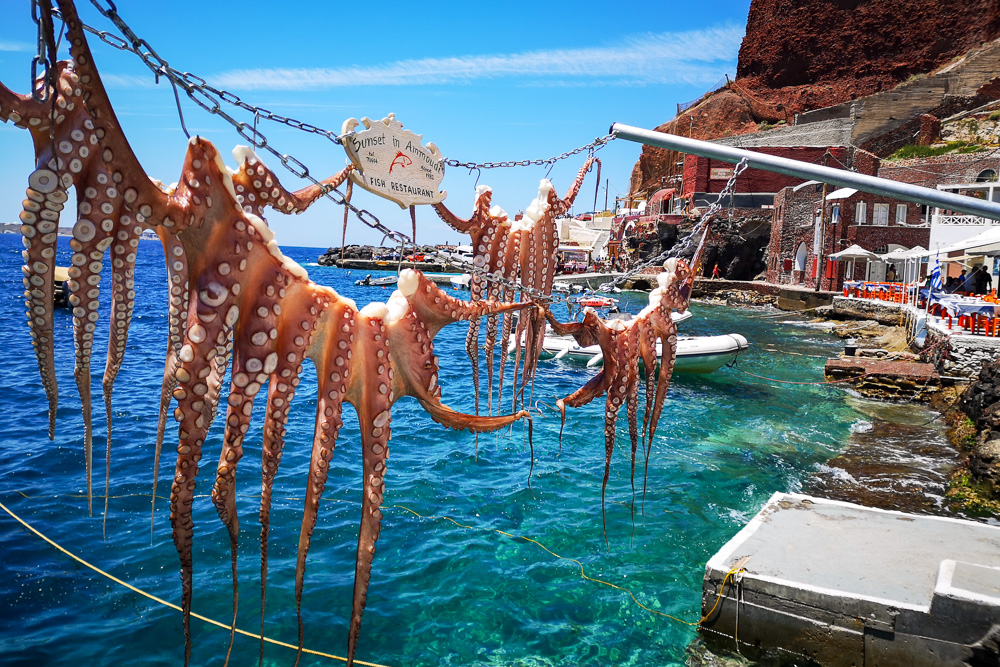 Octopus hanging to dry in Santorini Greece