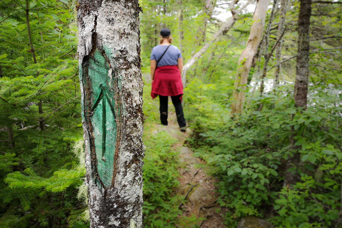 Liscombe Falls eastern shore Nova Scotia