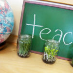 Teaching Abroad Feature Image