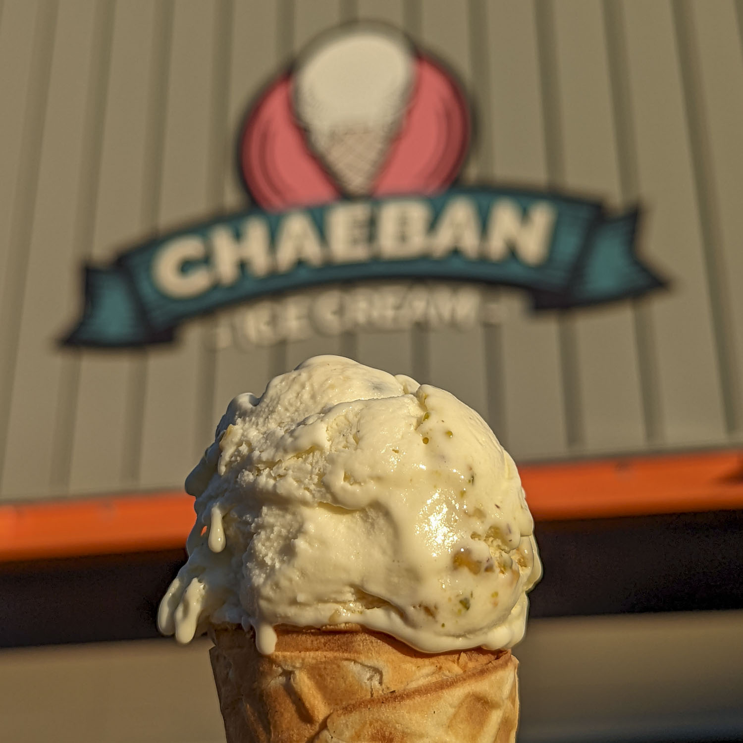 Chaeban Ice Cream in Winnipeg