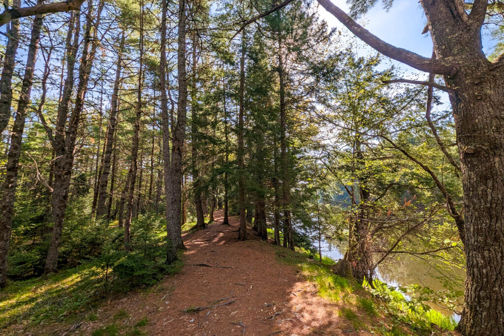 Stewiacke River Park Path