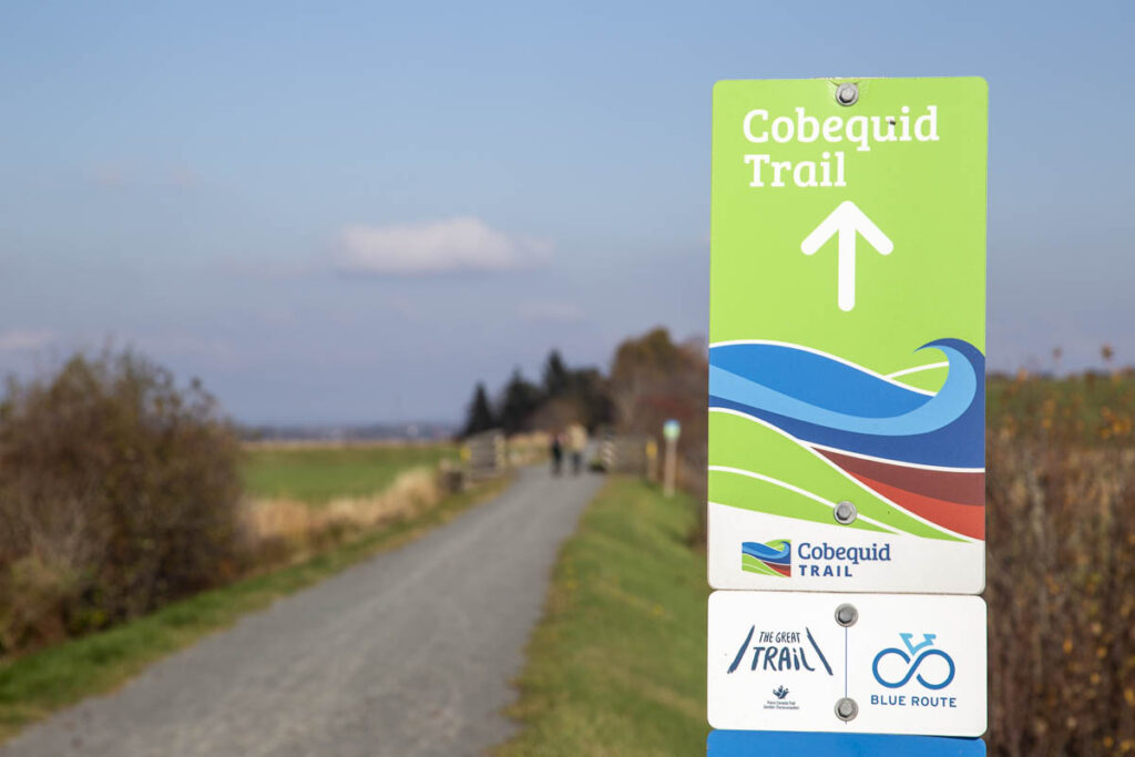 Cobequid Trail 1