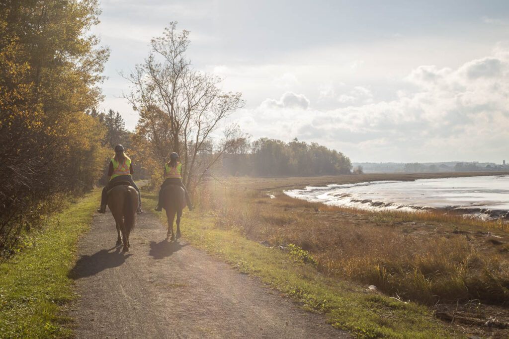 Cobequid Trail 3