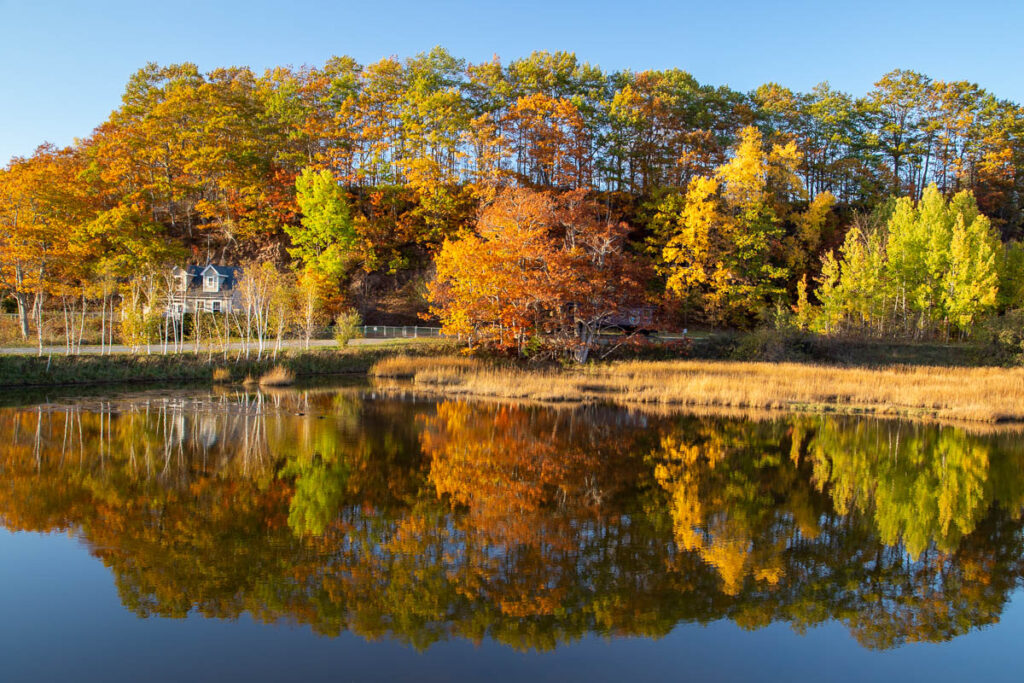 Fundy Trail Interpretive Centre in Fall