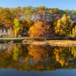 Fundy Trail Interpretive Centre in Fall