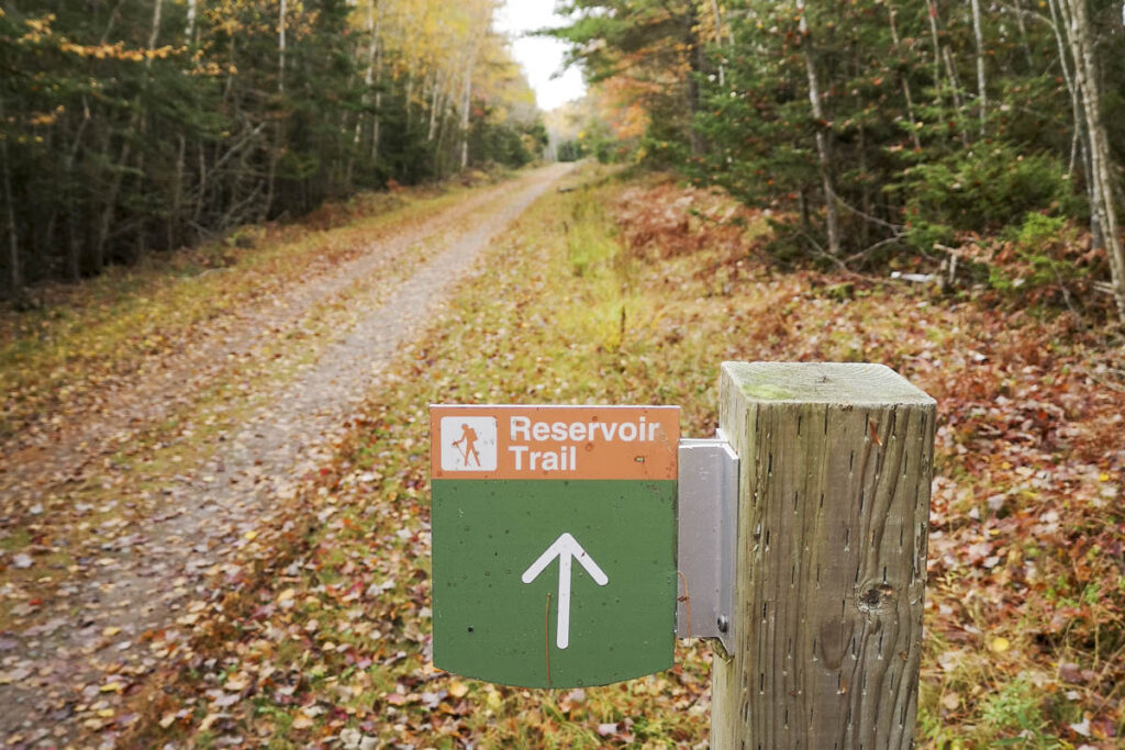 Railyard Resevoir Trail 2