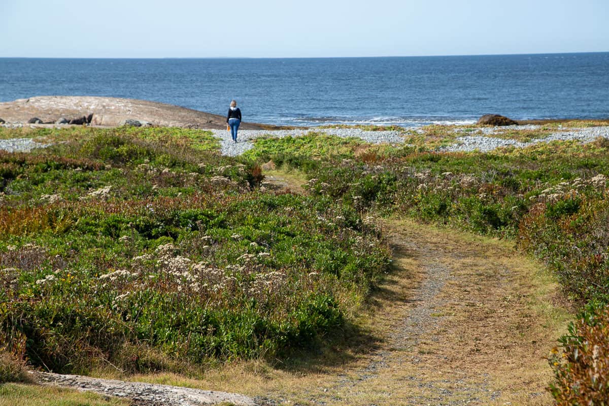 Pubnico Point Trail Coastline