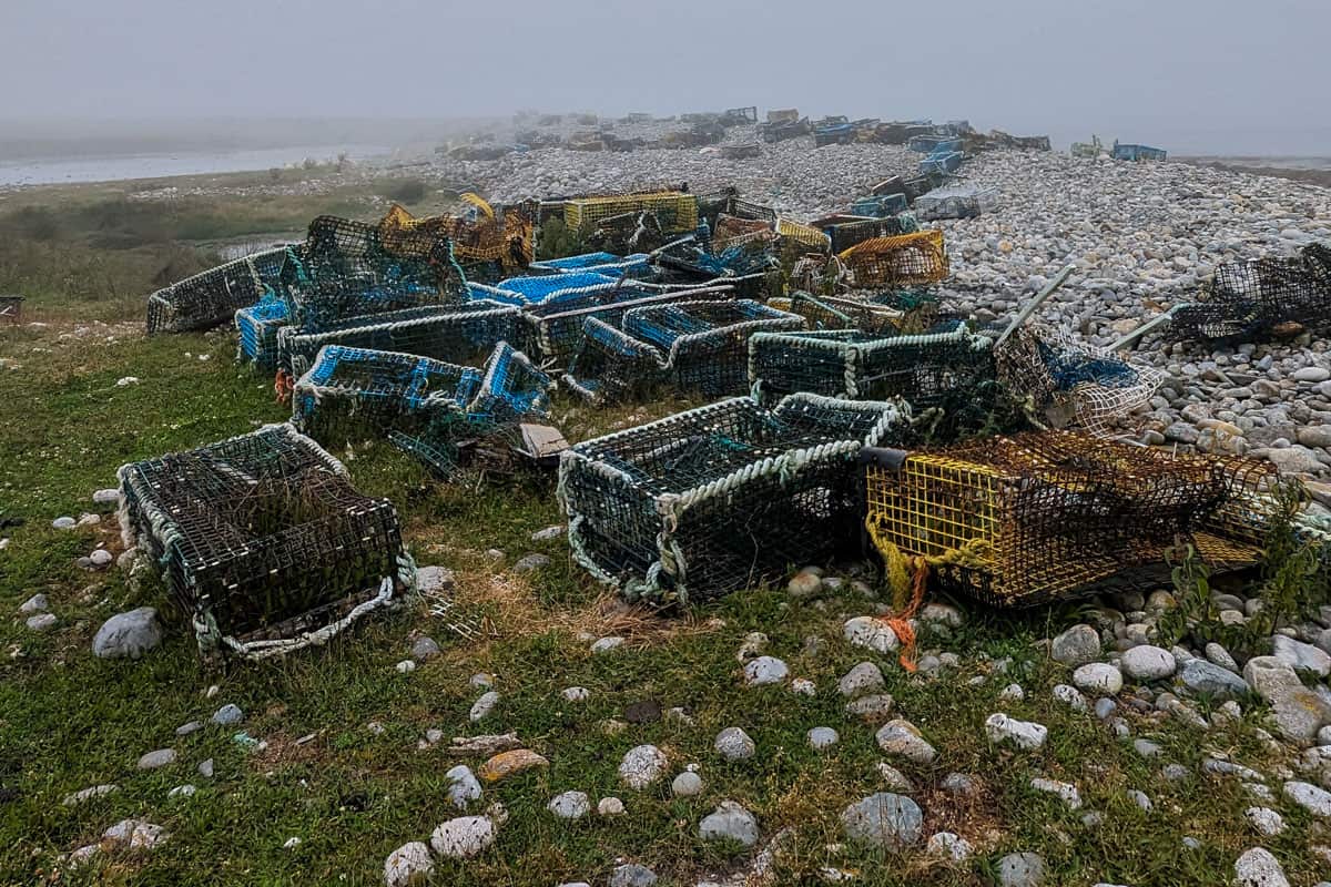 Washed up Pots