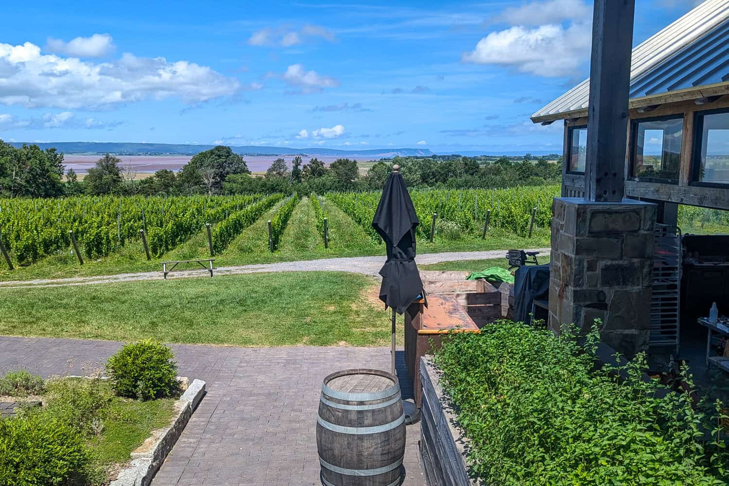 The vineyards at Lightfoot and Wolfville