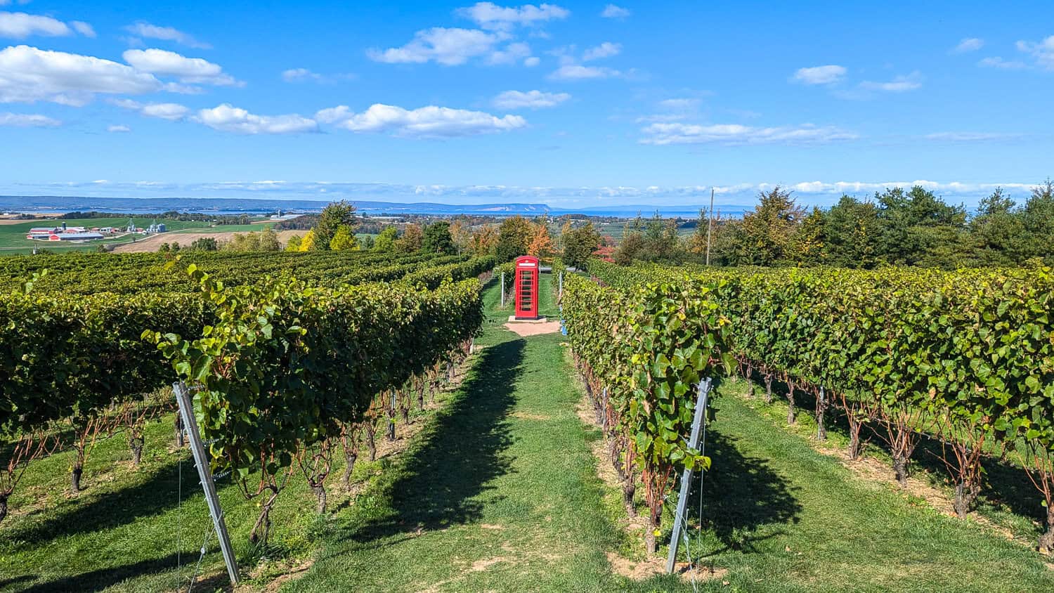 The iconic red phone booth at Luckett Vineyards